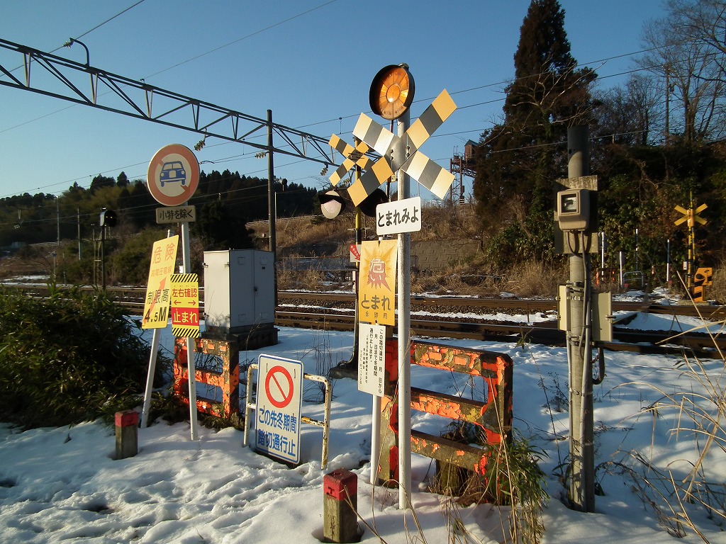 20130131fumi4.jpg