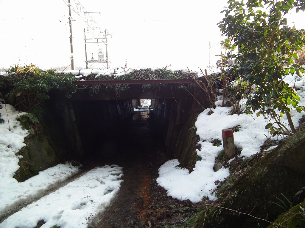 20130131hiro4.jpg