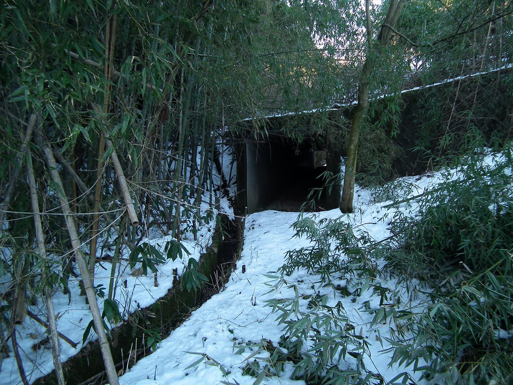 20130131hiro6.jpg