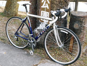DSCN1110.jpg