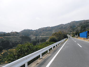 DSCN1246.jpg