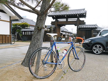DSCN1256.jpg