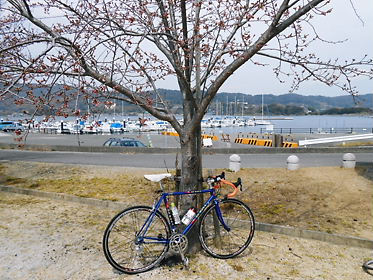 DSCN1258.jpg