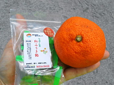 DSCN1260.jpg