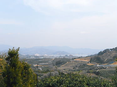 DSCN1262.jpg