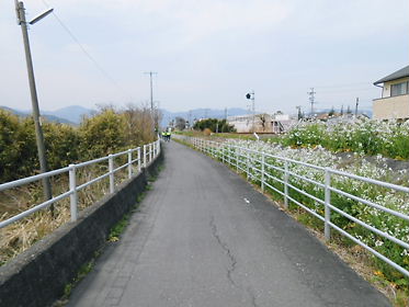 DSCN1266.jpg