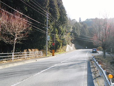 DSCN1373.jpg