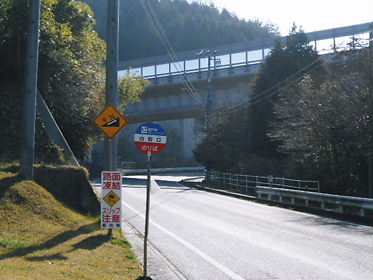 DSCN1380.jpg
