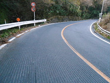 DSCN1384.jpg