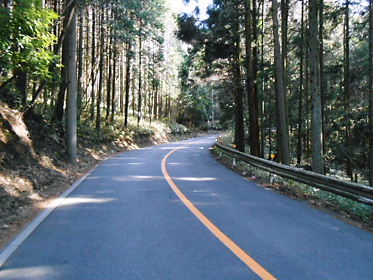 DSCN1387.jpg