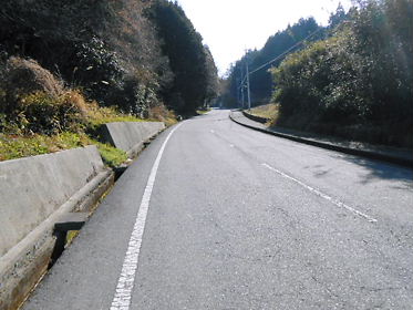 DSCN1389.jpg