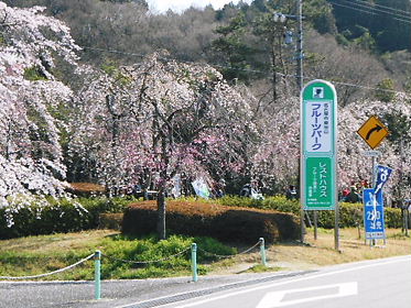 DSCN1393.jpg