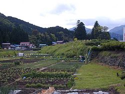 DSCN1505.jpg