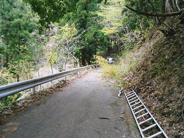 DSCN1508.jpg