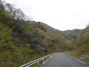 DSCN1509.jpg