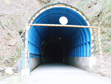 DSCN1510.jpg