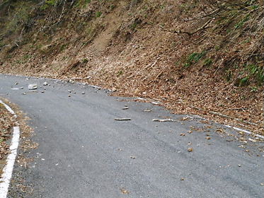 DSCN1512.jpg