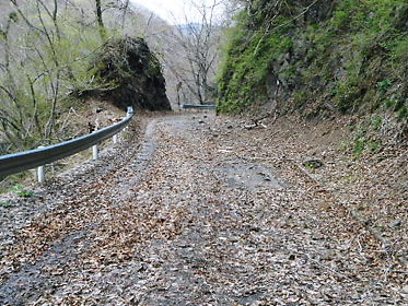 DSCN1513.jpg