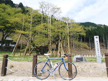 DSCN1523.jpg
