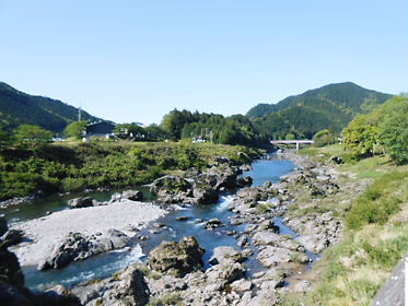 DSCN1703.jpg