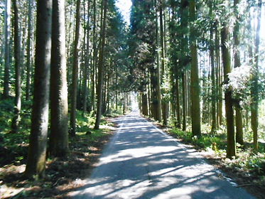 DSCN1704.jpg