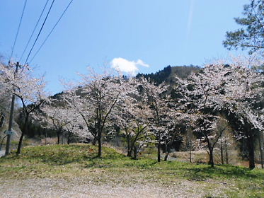 DSCN1709.jpg