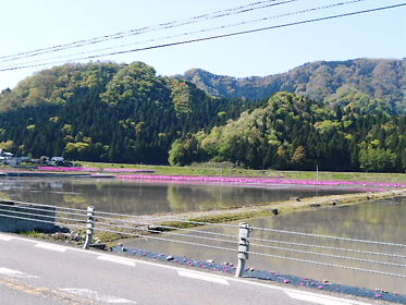 DSCN1716.jpg