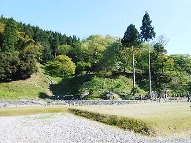 DSCN1717.jpg