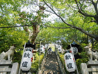 DSCN1849.jpg
