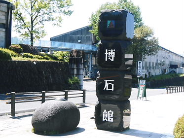 DSCN1933.jpg