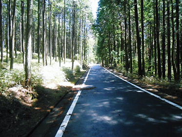 DSCN1936.jpg