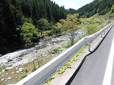 DSCN1940.jpg