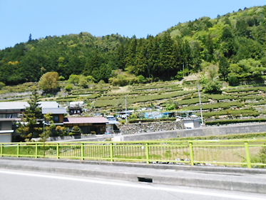 DSCN1941.jpg