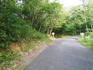DSCN2073.jpg