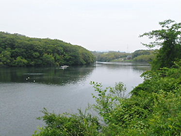 DSCN2153.jpg