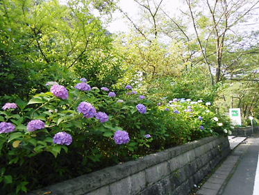 DSCN2348.jpg