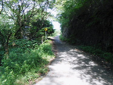 DSCN2351.jpg