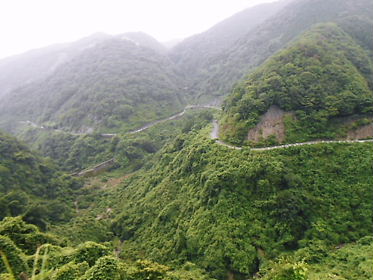 DSCN2427.jpg
