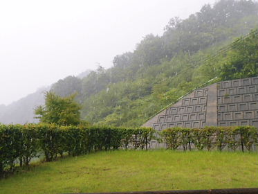 DSCN2431.jpg
