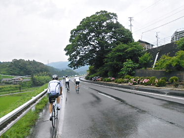 DSCN2432.jpg