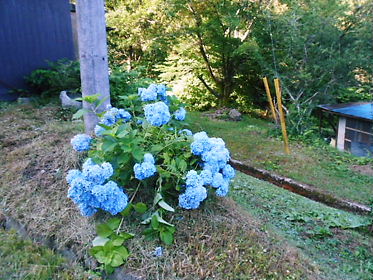 DSCN2460.jpg