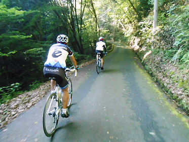 DSCN2461.jpg