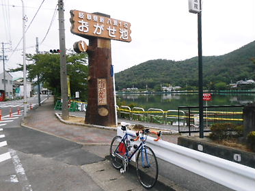 DSCN2549.jpg