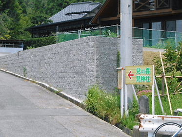 DSCN2583.jpg