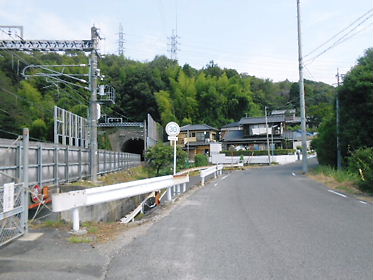 DSCN2604.jpg