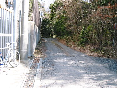 IMG_0060.jpg