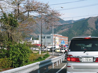 IMG_1007.jpg