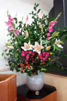 今日のお花 919