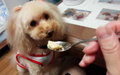栗を食べましょう5