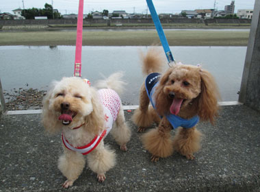 お散歩記念写真